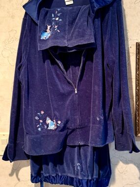 Disney Blue Velour Lounge Set with Embroidered Detail